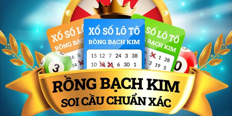 Tổng quan về cách soi cầu Rồng Bạch Kim