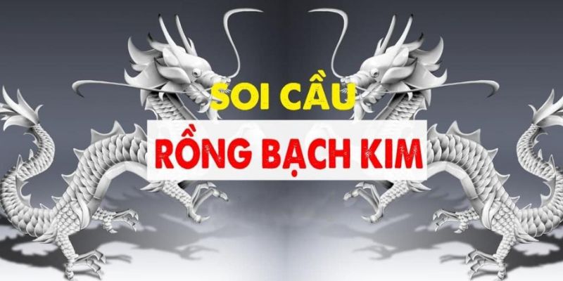 Ý nghĩa của phương pháp soi Rồng Bạch Kim 2024